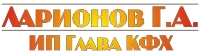ЛАРИОНОВ Г. А. ИП Глава КФХ